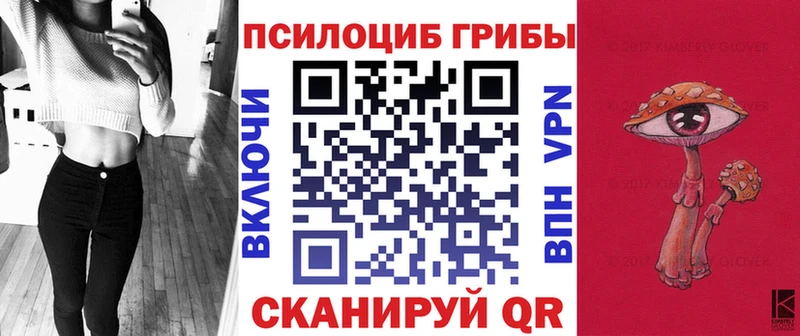 Псилоцибиновые грибы Psilocybe  Купить  Сосногорск 